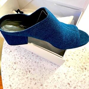 3.1 Phillip Lim Blue Mules
